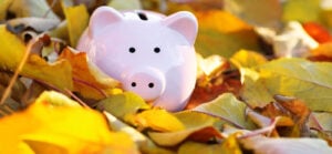 Autumn Budget: industry reacts on energy, AI, and security
