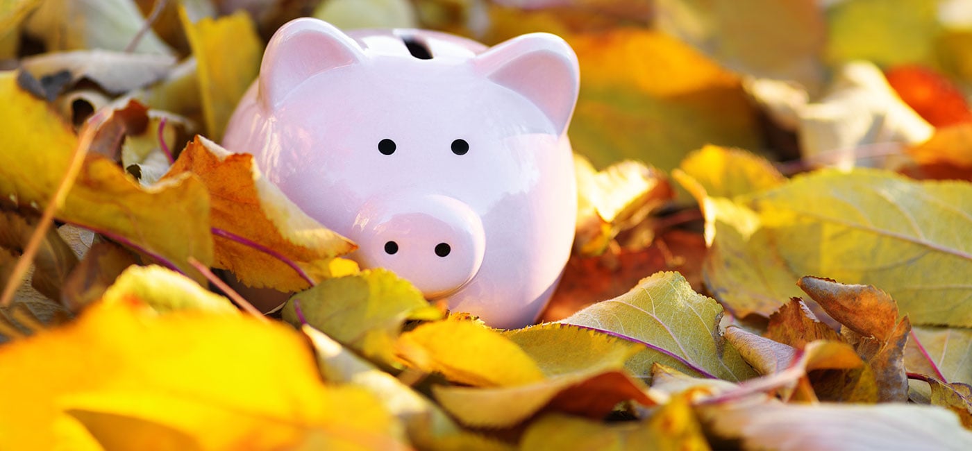 Autumn Budget: industry reacts on energy, AI, and security
